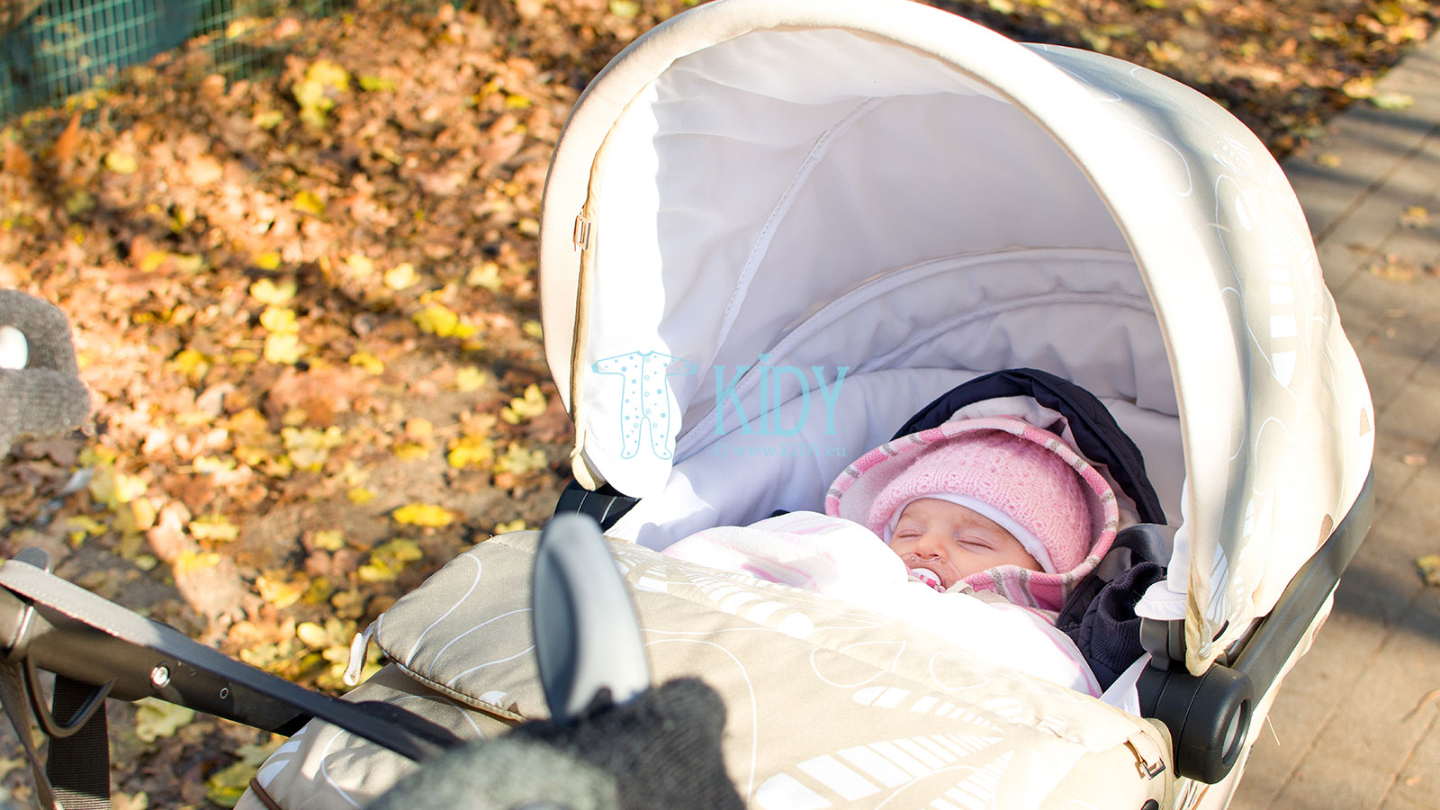 Первая прогулка с новорожденным осенью