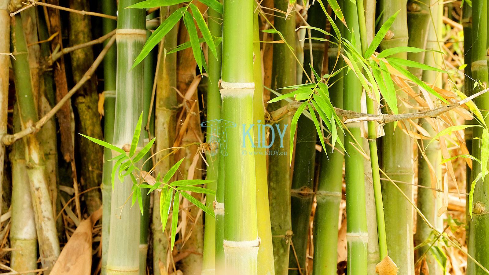 Bambukas – ideali medžiaga naujagimių rūbeliams