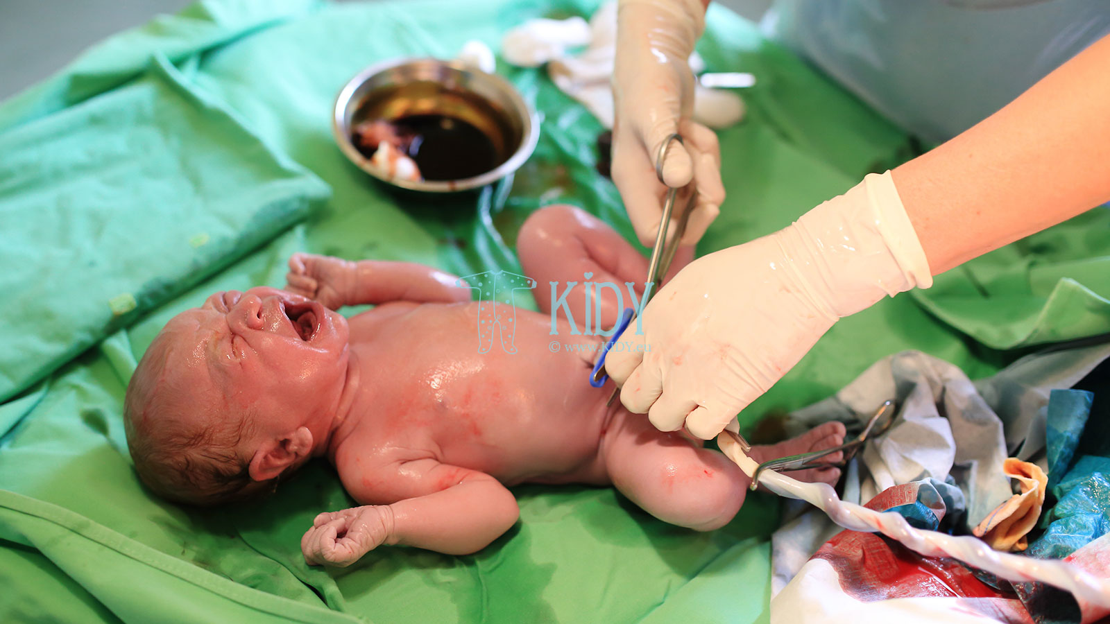 Первые дни жизни новорождённого - знакомство с миром и важные обследования  ❤️ KIDY.eu