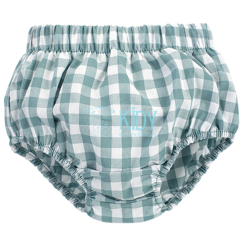 Green SWEET CHERRY bloomers