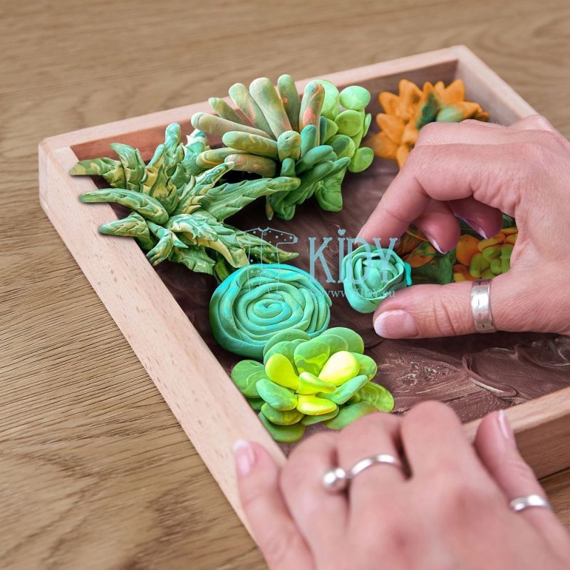 Creative set Modelling clay - 3D painting Wood&amp;Craft Succulents Energy (21*21cm)