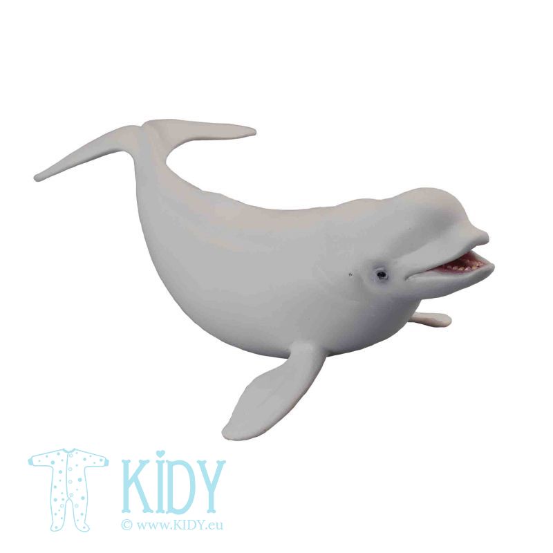 Beluga banginis (L)