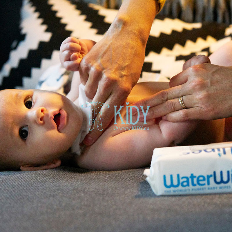 Feuchttücher ORIGINAL für Babys (Water Wipes) 4