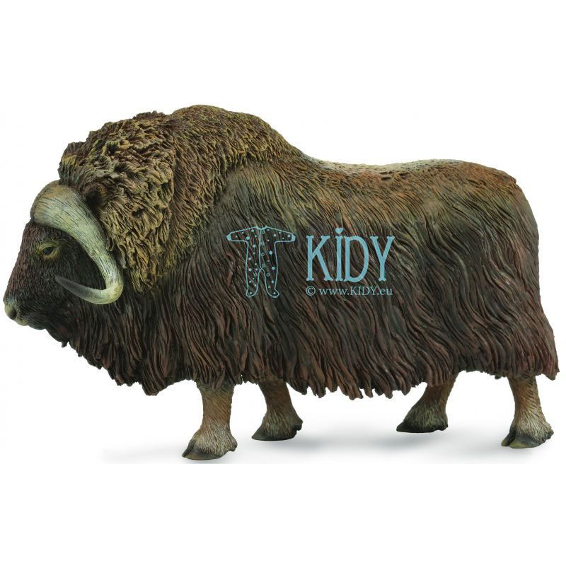 Musk Ox (Collecta)